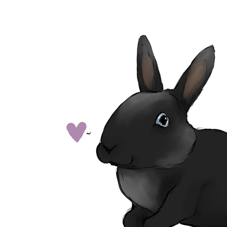 Bunnification Duo (Coming Soon!)